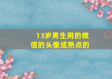 13岁男生用的微信的头像成熟点的