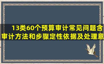 13类60个预算审计常见问题(含审计方法和步骤、定性依据及处理意见...