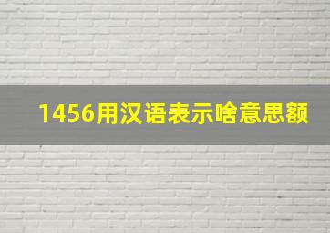 1456用汉语表示啥意思额