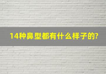 14种鼻型都有什么样子的?