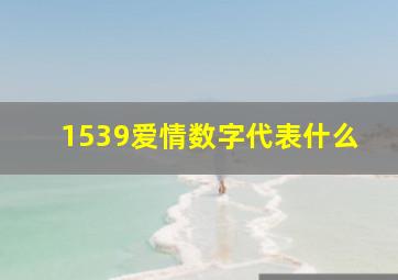 1539爱情数字代表什么