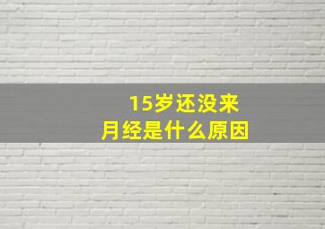 15岁还没来月经,是什么原因