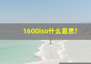 1600iso什么意思?