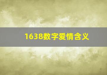 1638数字爱情含义