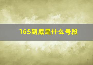 165到底是什么号段