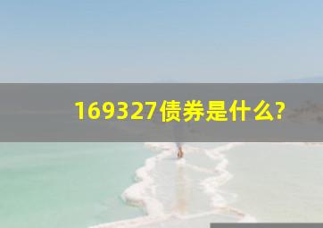 169327债券是什么?