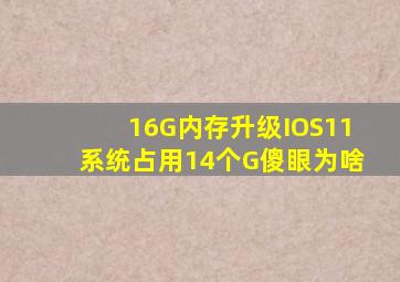 16G内存升级IOS11,系统占用14个G,傻眼,为啥
