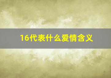 16代表什么爱情含义