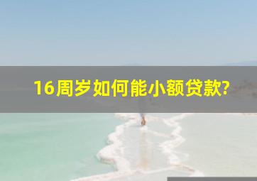 16周岁如何能小额贷款?