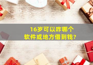 16岁,可以咋哪个软件或地方借到钱?