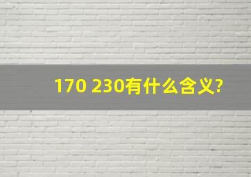 170 230有什么含义?