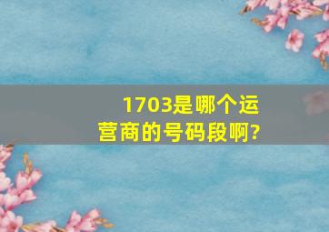 1703是哪个运营商的号码段啊?