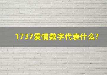 1737爱情数字代表什么?