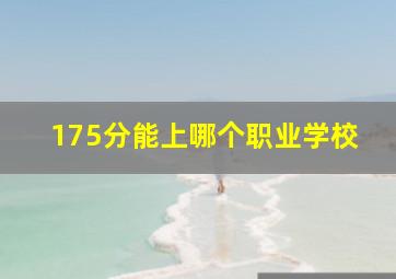 175分能上哪个职业学校