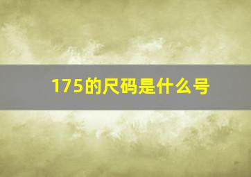 175的尺码是什么号