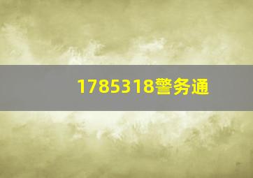 1785318警务通