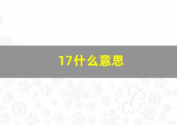 17什么意思