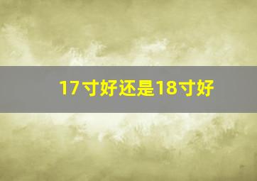 17寸好还是18寸好