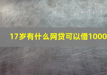 17岁。有什么网贷可以借1000