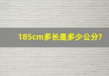 18,5cm多长是多少公分?