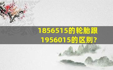 1856515的轮胎跟1956015的区别?