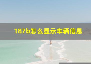 187b怎么显示车辆信息