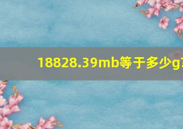 18828.39mb等于多少g?