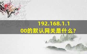 192.168.1.100的默认网关是什么?