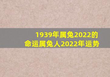 1939年属兔2022的命运,属兔人2022年运势
