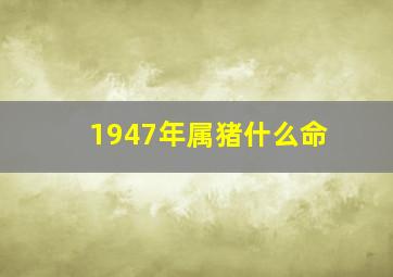 1947年属猪什么命