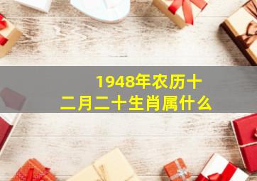 1948年农历十二月二十生肖属什么