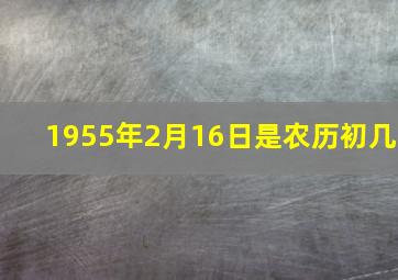 1955年2月16日是农历初几