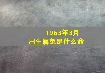 1963年3月出生属兔是什么命