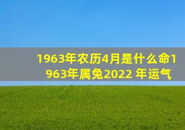 1963年农历4月是什么命,1963年属兔2022 年运气