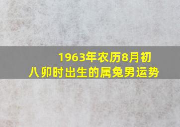 1963年农历8月初八卯时出生的属兔男运势