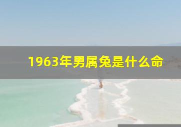 1963年男属兔是什么命