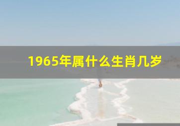 1965年属什么生肖几岁