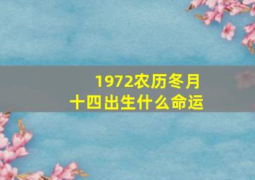 1972农历冬月十四出生什么命运