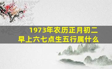 1973年农历正月初二早上六,七点生五行属什么