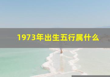 1973年出生五行属什么