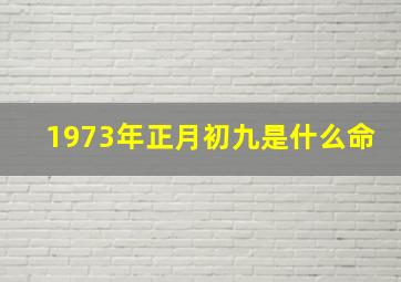 1973年正月初九是什么命