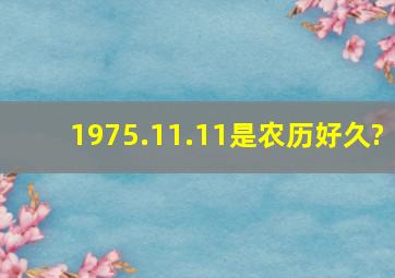 1975.11.11是农历好久?