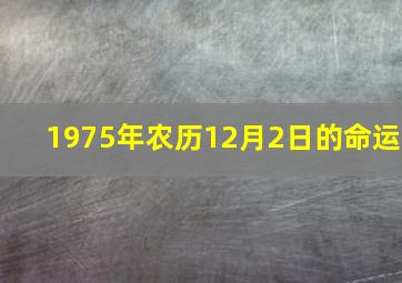 1975年农历12月2日的命运