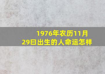 1976年农历11月29曰出生的人命运怎样