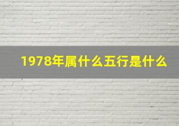 1978年,属什么,五行是什么