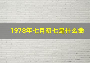 1978年七月初七是什么命