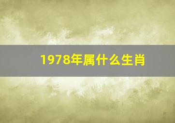 1978年属什么生肖