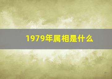 1979年属相是什么(