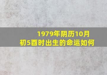 1979年阴历10月初5酉时出生的命运如何