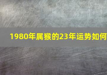 1980年属猴的23年运势如何